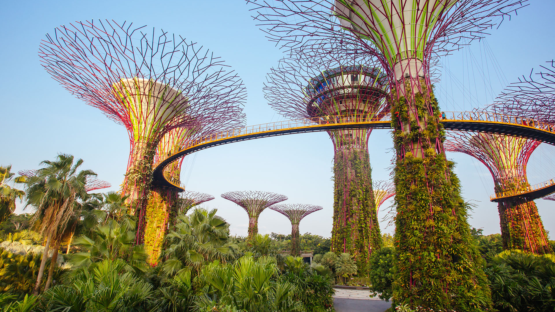 gardens by the bay in singapore 2021 08 29 03 40 32 utc